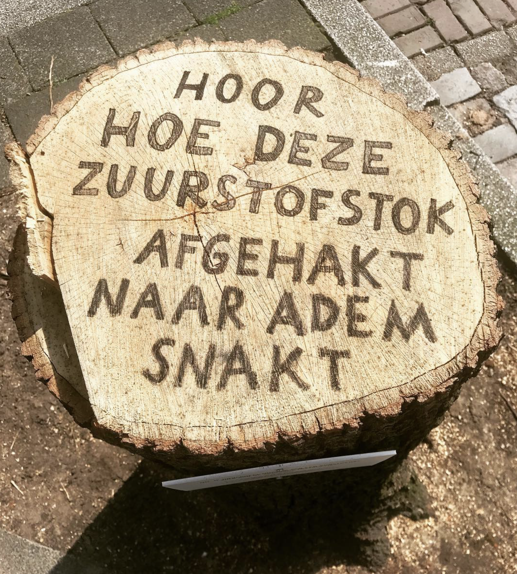 Scherm­afbeelding 2024-12-01 om 13.34.34